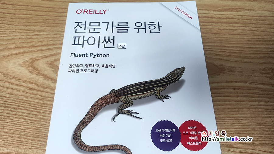 전문가를 위한 파이썬 2판